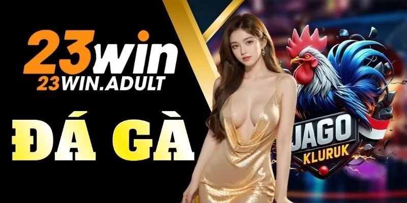 Đá gà 23Win – Trải nghiệm cá cược hấp dẫn mỗi ngày